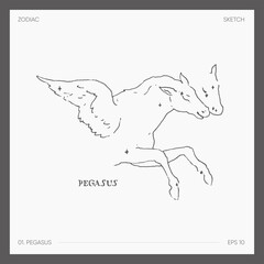 Illustration of astrological zodiac Pegasus