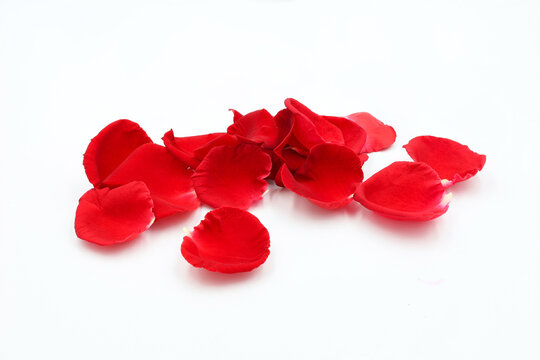 a pile of red rose petals isolated on a white background. 
