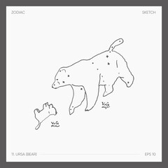 Illustration of astrological zodiac Ursa Bear