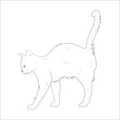 Kitty Cat coloring book page Design for Kids Children stock vector line art illustration.