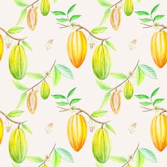 Seamless tropical pattern with cocoa tree branches, fruits and cocoa leaves.Watercolor hand drawn illustration