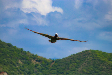 Tayrona wild park