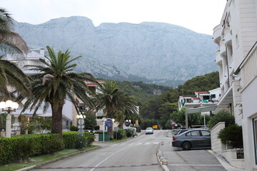 palm trees on the street. view of the town in the mountains. Scenic morning landscape with foggy time lapse in luxury resort