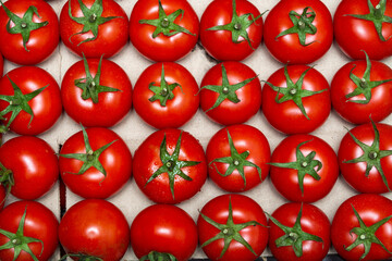 Tomatoes