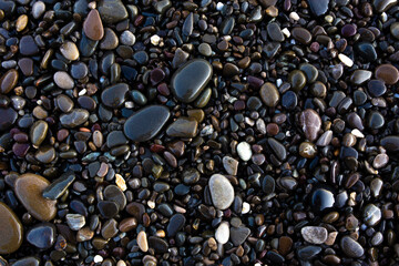  Background texture of wet pebbles on the seashore