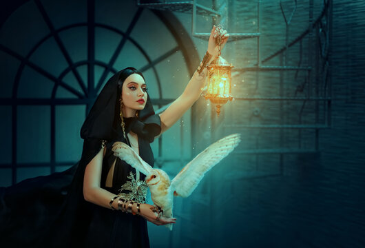 Gothic fantasy woman witch in black dress cape, hood. Girl princess dark magician holds vintage lamp lantern in hand. Lady elf queen with white barn owl bird. Art photo night royal room. Fabric flies