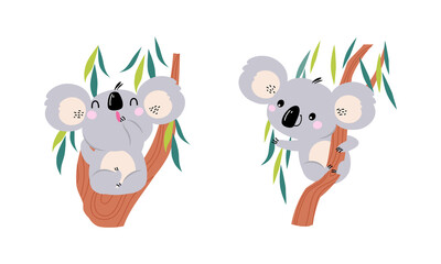 Adorable Koala Arboreal Australian Animal with Round Ears Sitting on Eucalypt Tree Vector Set © topvectors