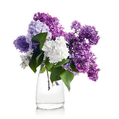 Lilac flowers bouquet in glass vase isolated on white background.