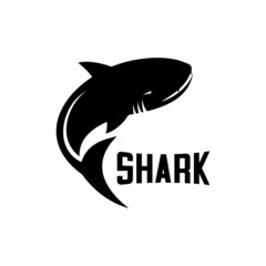 vector illustration of a shark on a white background
