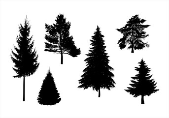 Silhouette collection of fir, spruce and pine trees