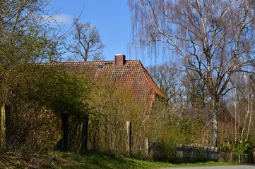 Obraz premium Frühling im Dorf Borg, Niedersachsen
