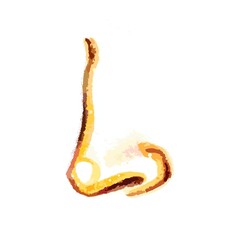 Nose drawn with markers. The nose is isolated on the sheet. Illustration of a part of the face. Rhinoplasty. The nose is beautiful in profile.