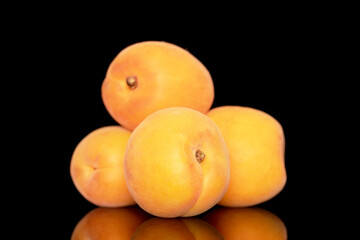 Four ripe sweet apricots, close-up, isolated on a black background.