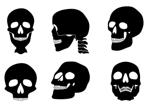 Skull vector design illustration isolated on white background