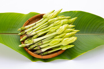 Moonflower or Ipomoea alba L for cooking