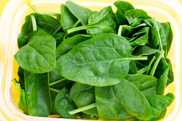 Spinach leaves on yellow background.