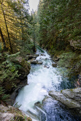 Fototapeta na wymiar Lynn Canyon Park Twin Falls, North Vancouver, British Columbia, Canada.