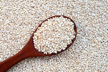Barley grain with wooden spoon