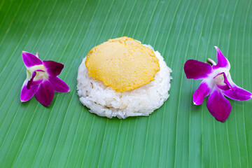 Thai dessert, Sweet sticky rice with egg custard