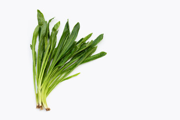 Culantro or sawtooth coriander on white background.