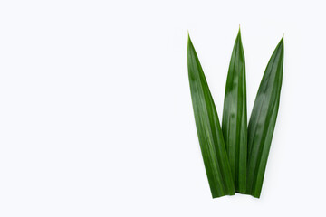 Fresh pandan leaves on white background.