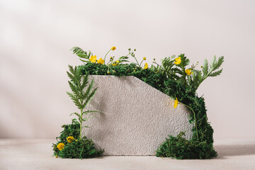 Concrete podium surrounded by moss and green plants for branding. Textured stones on beige...