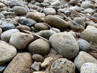 pebbles on the beach
