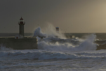 Stormy se wave splash at dusk