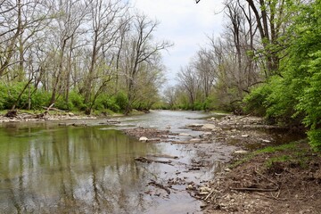 The flowing water of the creek in the woods.