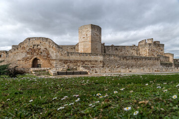 View of the castle of Zamora with flowers in the foreground. Castilla y Leon, Spain