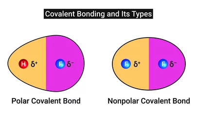 Fotobehang Covalent Bonding and Its Types (Polar Covalent Bond and Nonpolar Covalent Bond) © Sac ro jobh