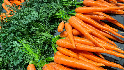 carrot fresh vegetable green leaves ripe fruit market shop healthy meal food snack veggie vegan or vegetarian food copy space food background