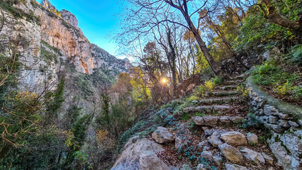 Early morning sun rays reaching through the forest at hiking trail Path of Gods between Positano and Praiano, Amalfi Coast, Campania, Italy, Europe. Trekking  dense forest at Mediterranean Sea