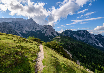 Summer day in the mountains of Julian Alps in Slovenia. Flowers, path and trees on the way to the summit. 