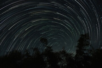 Vortex of Star Trails round the pole star behind the trees in Mayong, Morigaon, Assam, India