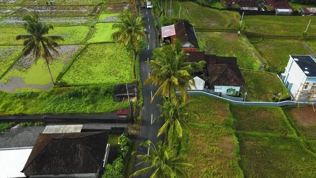 Amazing cinematic Ubud, Bali drone footage with exotic rice terrace, small farms, village houses and agroforestry plantation. This nature air footage was shot using DJI drone in full HD 1080p.