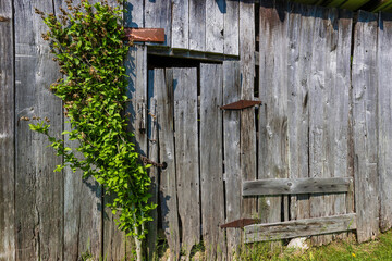Close up of an exterior wall of an old shed