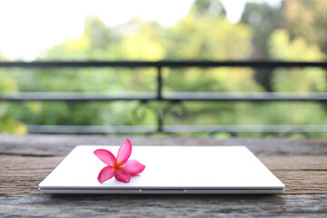 Frangipani flower with laptop on wooden table at balcony