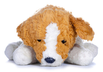 Soft toy dog on white background isolation
