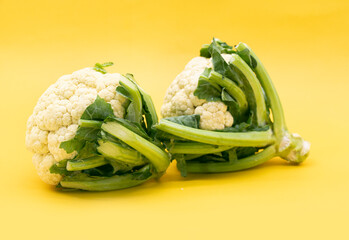 Cauliflower without leaves isolated on yellow background with clipping path