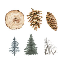 set of watercolor illustrations of nature botany and forest, hand painted.