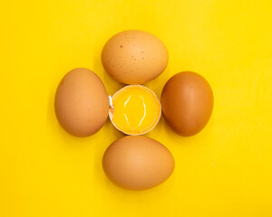 whole eggs and broken isolated on yellow background.