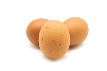 chicken eggs isolated on white background