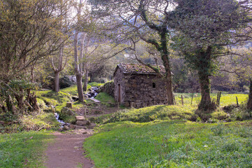 landscape with a tree and an old house
