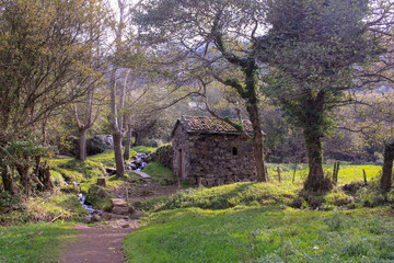 trees and old cabin in the park