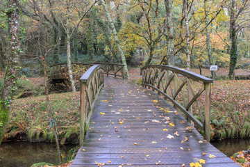 a wooden bridge with fallen leaves on it
