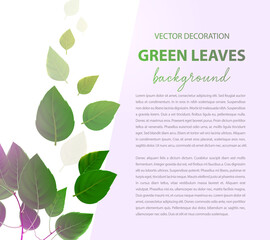 Light background for your text. Vector leaves decorate the background. Background for an article or post, for a blog