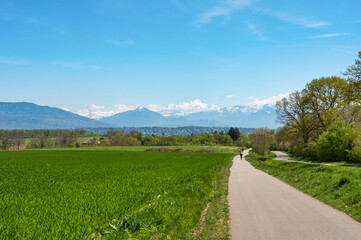Vue sur le Mont-Blanc depuis Ornex, France
