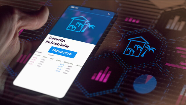 investissements d&eacute;partements, r&eacute;gions et collectivit&eacute;s d&rsquo;outre-mer Drom-Com, &Eacute;tat outils de d&eacute;fiscalisation Girardin, dispositif de d&eacute;fiscalisation, baisse d'imp&ocirc;ts, ultramarin PME locale proximit&eacute;.