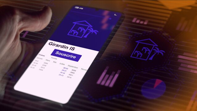investissements d&eacute;partements, r&eacute;gions et collectivit&eacute;s d&rsquo;outre-mer drom-Com, &eacute;tat outils de d&eacute;fiscalisation girardin, dispositif de d&eacute;fiscalisation, baisse d'imp&ocirc;ts, ultramarin pme locale proximit&eacute;.